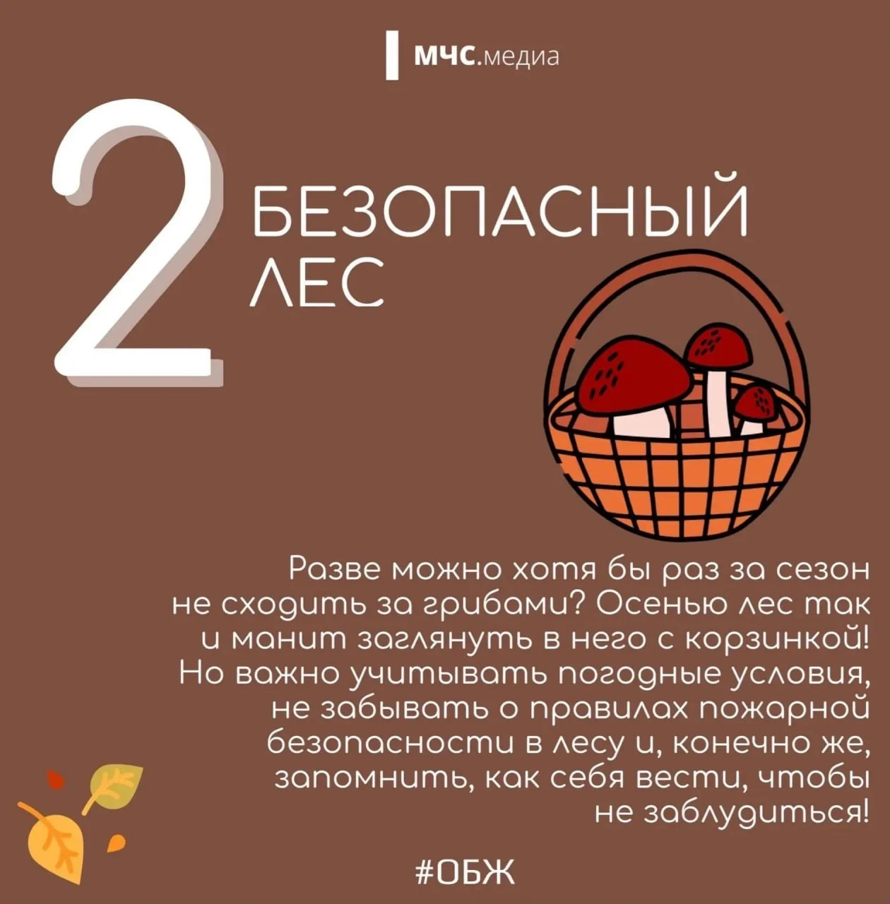 5 осенних рисков: МЧС напоминает о безопасности!